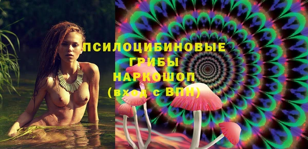 эйфоретик Баксан