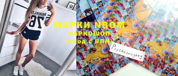 эйфоретик Баксан