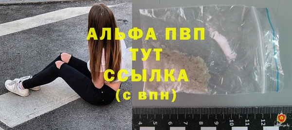 эйфоретик Баксан