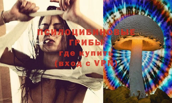 ешки Балабаново